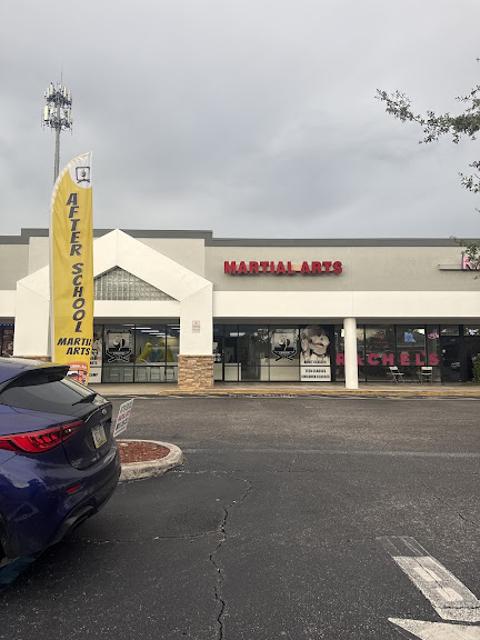 Martial Art West Tampa — Town 'N' Country, Florida (2)