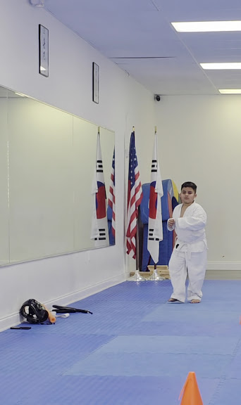 Martial Art West Tampa — Town 'N' Country, Florida (3)