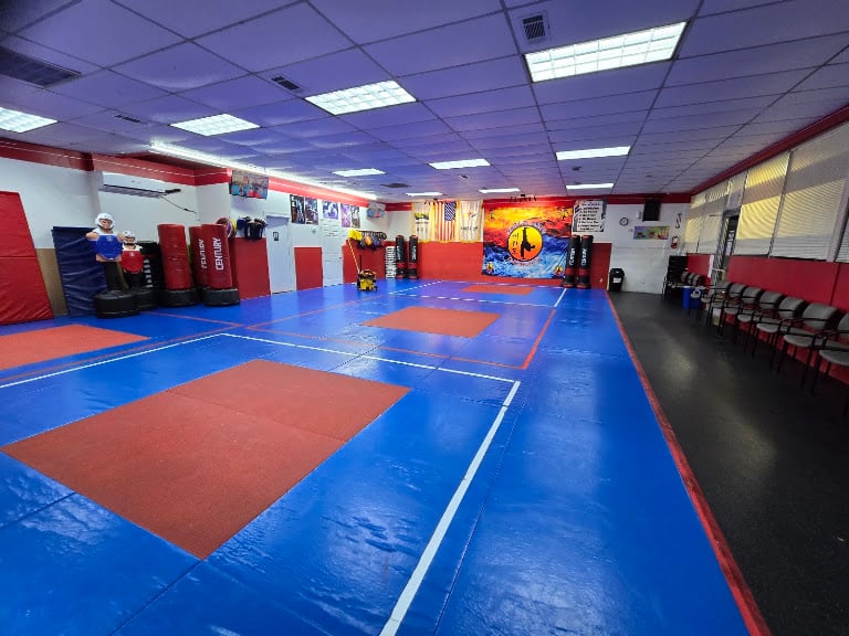 MARTIAL ARTS TAEKWONDO ARLINGTON
