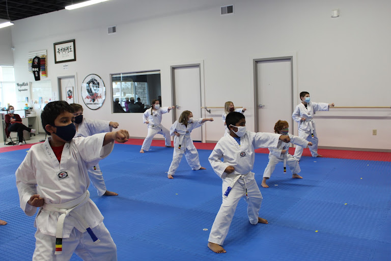 Master Kim's MegaKick Tae Kwon Do & Alpha Krav Maga — Powell, Ohio (2)