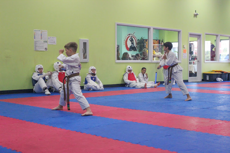 Master Lim's Martial Arts — Fairview Heights, Illinois (2)