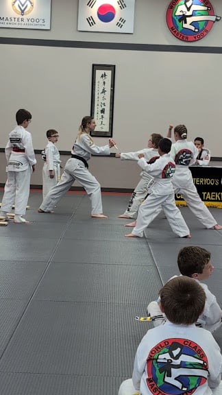Master Yoo's World Class Tae Kwon Do — Noblesville, Indiana (3)