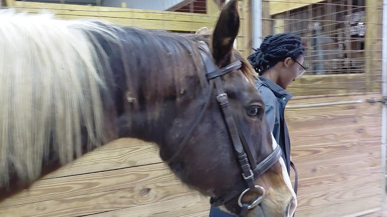 Mayhem Stables — Greenwood, Indiana (3)