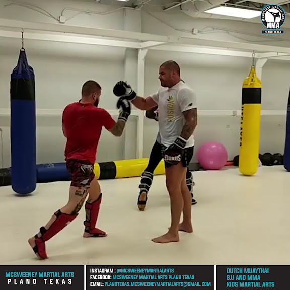 Mcsweeney Martial Arts and Performance Center — Plano, Texas (2)