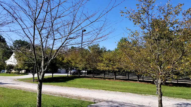 Meadowbrook Stables — Chevy Chase, Maryland (3)