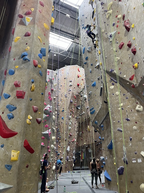 Mesa Rim Climbing Center (Mira Mesa) — Climbing venue in California