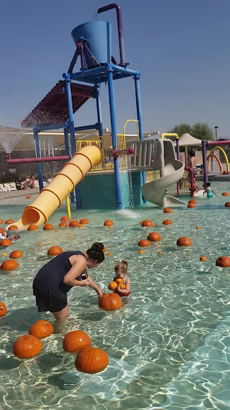 Mesquite Groves Aquatic Center — Chandler, Arizona (2)