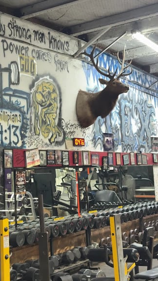 Metroflex Gym Arlington — Arlington, Texas (3)