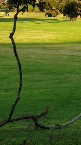 MetroWest Golf Club — Orlando, Florida (3)