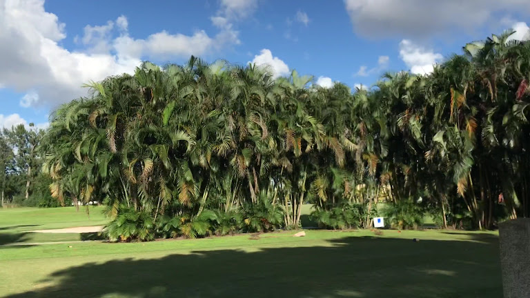 Miami Springs Golf & Country Club — Miami Springs, Florida (3)