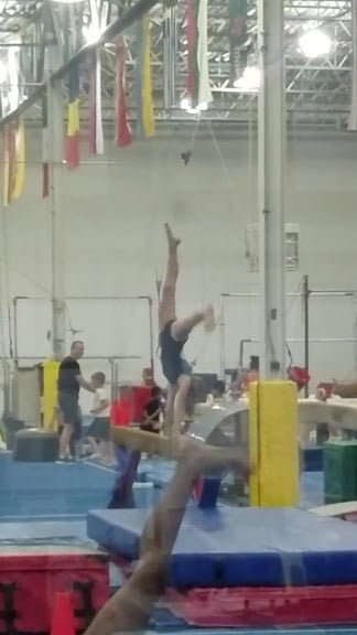 Michigan Academy of Gymnastics — Westland, Michigan (3)