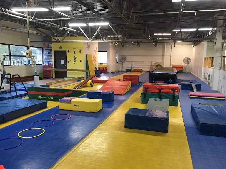 Michigan Academy of Gymnastics — Gymnastics venue in Michigan