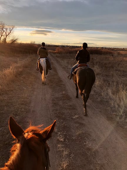 Mile High Equestrian & Rescue — Centennial, Colorado (2)