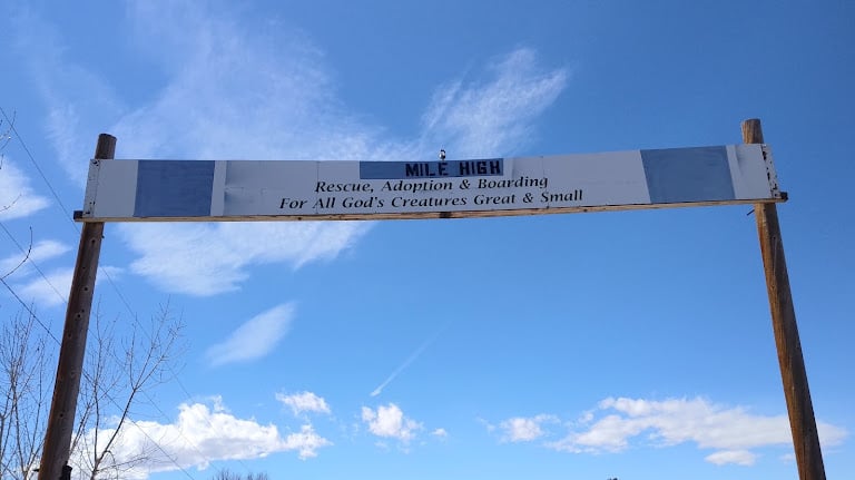 Mile High Equestrian & Rescue — Centennial, Colorado (3)