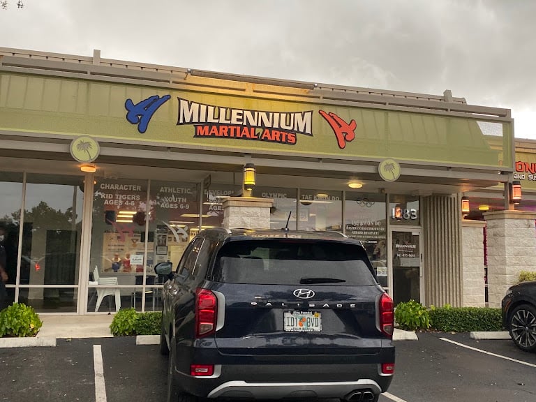 Millennium Martial Arts – Tae Kwon Do