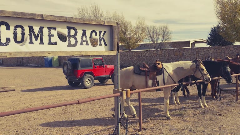 Miller Horse Farm and Riding Academy — Anthony, New Mexico (3)