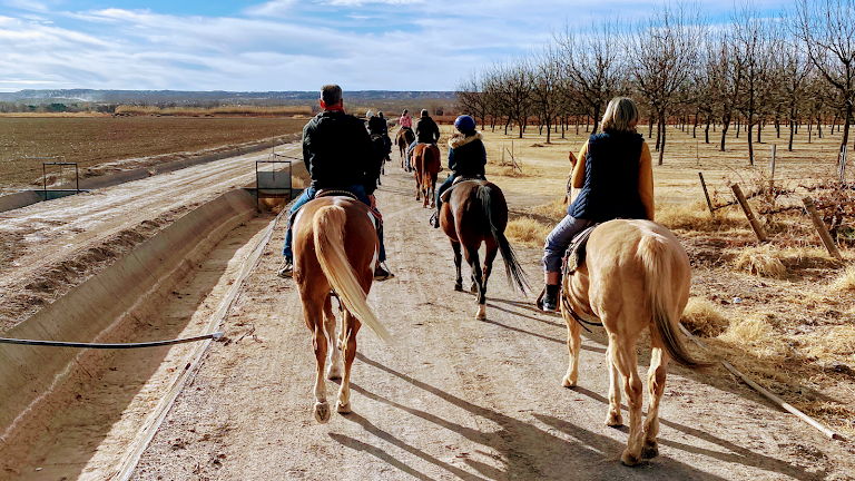 Miller Horse Farm and Riding Academy