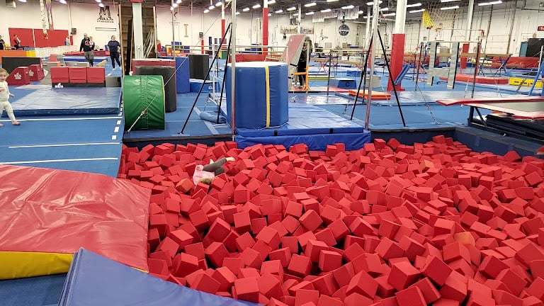 Mills Gymnastics USA — Southgate, Michigan (3)