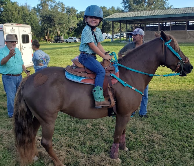 Misty Meadows Equestrian — Orlando, Florida (3)