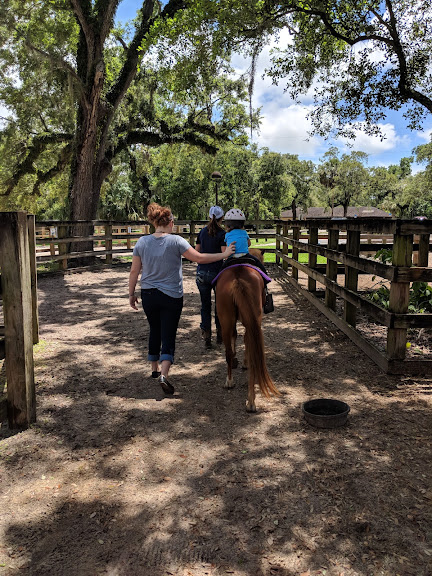 MM Equestrian Farm North Miami