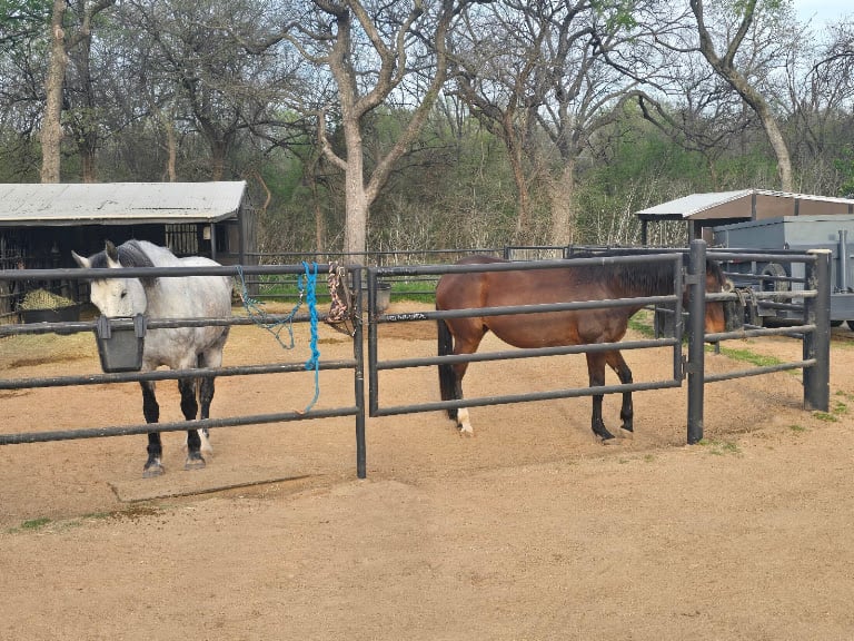 Monarch Equine Boarding Stables