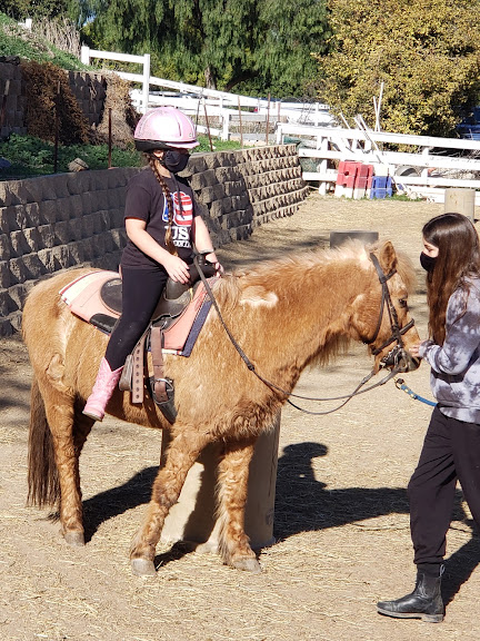 Mystic Canyon Stable — Sports Club in Rolling Hills, California