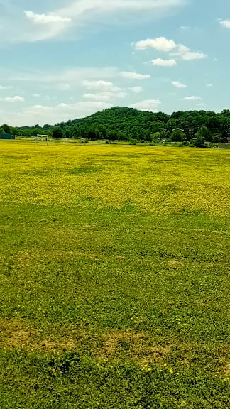 Nashville Youth Soccer Association — Nashville, Tennessee (3)