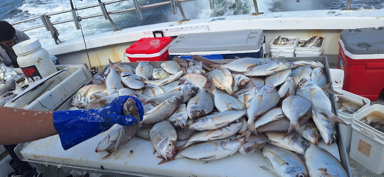 Never Enuff Fishing Fleet — Flushing, New York (2)