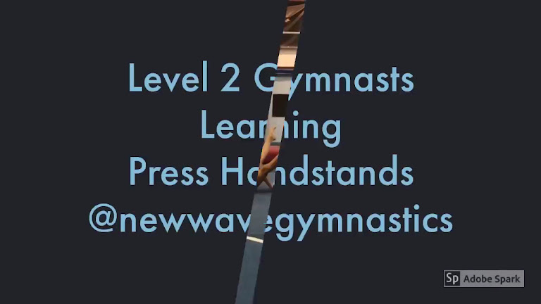 New Wave Gymnastics — Melbourne, Florida (2)