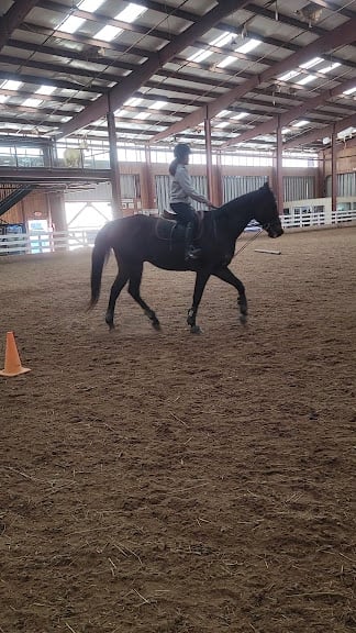 New York Equestrian Center — West Hempstead, New York (3)