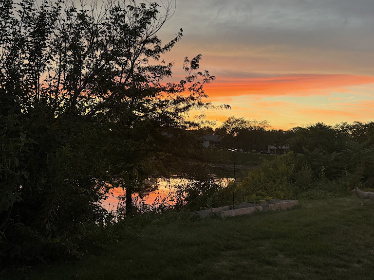 Noble Hot Yoga and Wellness — Carmel, Indiana (2)