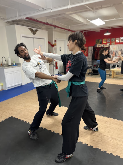 North Sky Kung Fu — New York, New York (2)