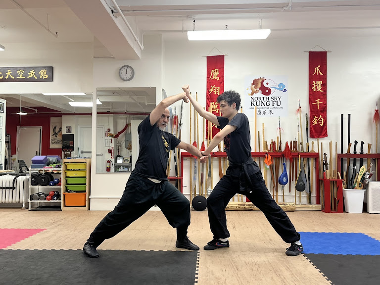 North Sky Kung Fu