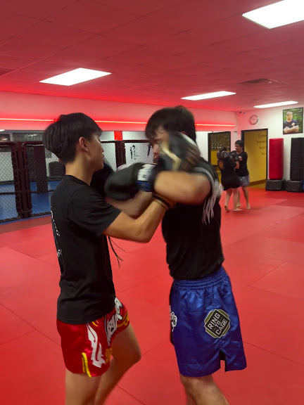Nubreed Martial Arts Academy — Whitestone, New York (3)