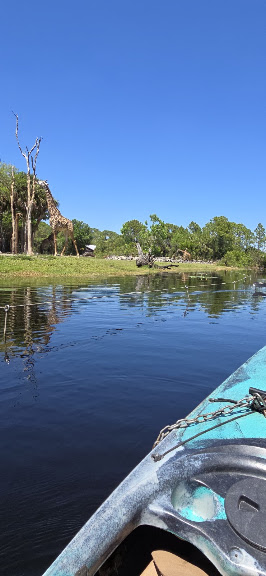 Nyami Nyami Kayak tour at Brevard Zoo — Melbourne