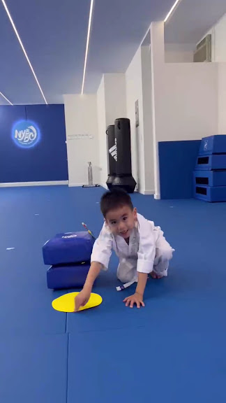 NYBBC Taekwondo Martial Arts School 192st — Flushing, New York (3)