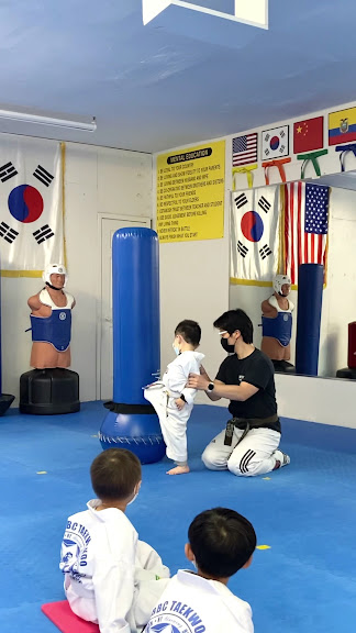 NYBBC Taekwondo Martial Arts School — Flushing, New York (2)