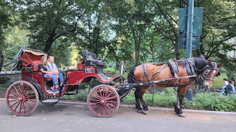 NYC Horse Carriage Rides EST.1979 — New York, New York (2)