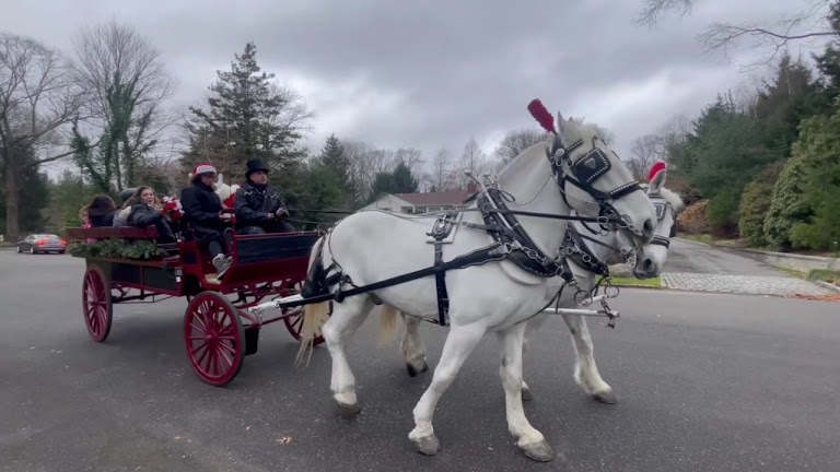 NYC Horse Carriage Rides EST.1979 — New York, New York (3)