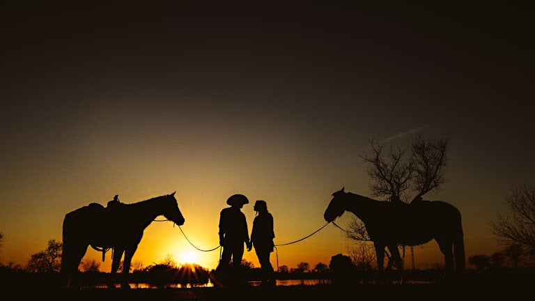 Ocean View Stables