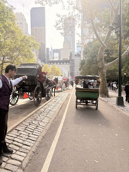 Official Central Park Horse Carriage Guided Tours by NYC Rides — New York, New York (2)
