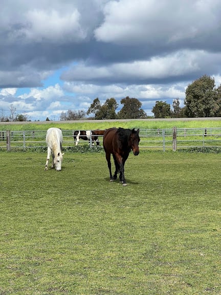Old Davis Stables