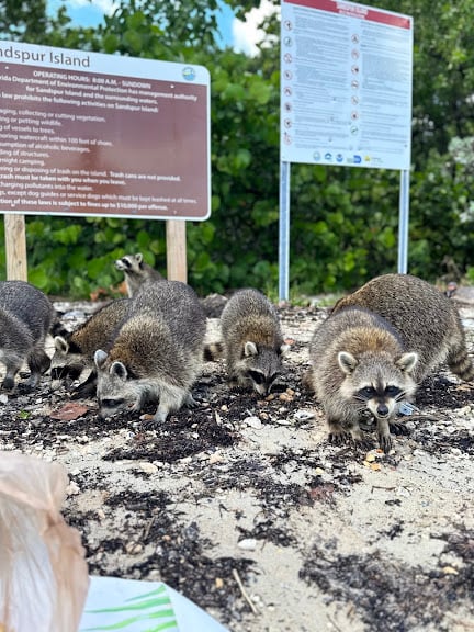 Oleta River Outdoor Center — North Miami Beach, Florida (2)