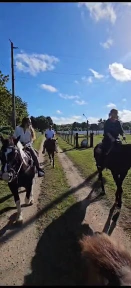 Orchid Stables Riding Club — Miami, Florida (3)