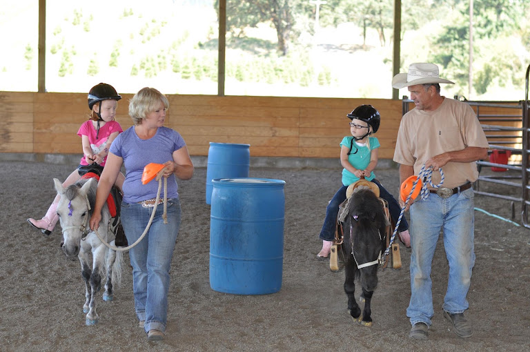 Oregon Dream Ponies — Newberg, Oregon (2)