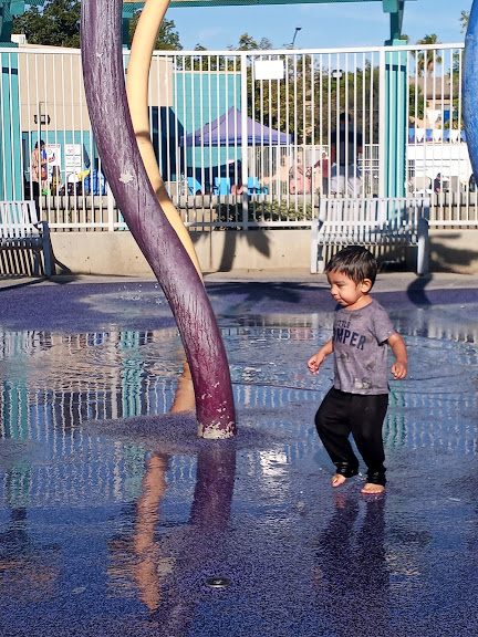 Pacific Community Pool — Glendale, California (2)