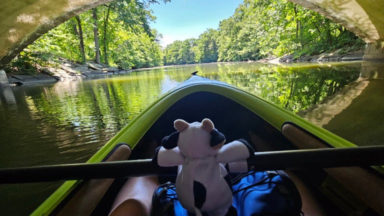 Paddle Boston: Medford, Condon Shell
