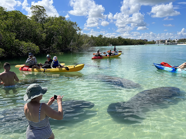 Paddle Naples - CLEAR Kayak Sunset Tour & GLOW with LED Lights — Bonita Springs, Florida (2)