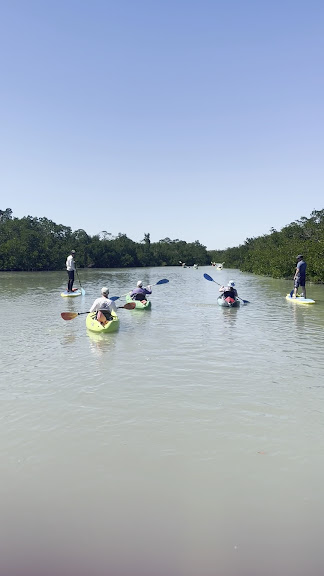 Paddle Naples - CLEAR Kayak Sunset Tour & GLOW with LED Lights — Bonita Springs, Florida (3)