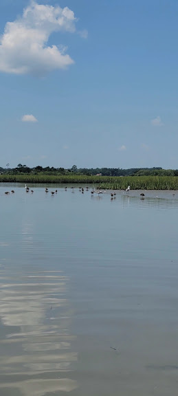 Paddle NC — Carolina Beach, North Carolina (3)